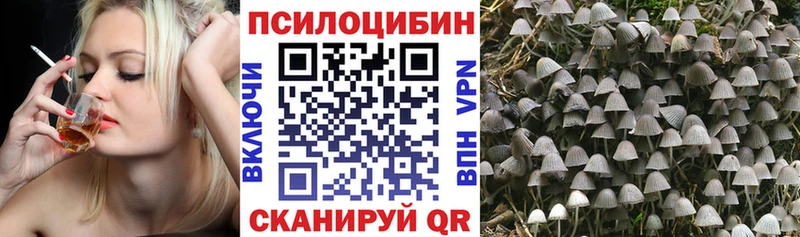 Псилоцибиновые грибы ЛСД  Тихорецк 
