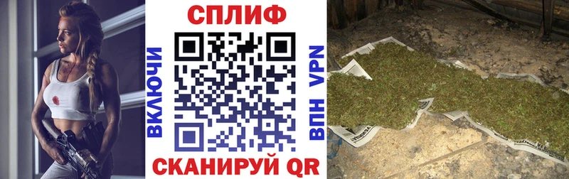 Канабис гибрид  Тихорецк 